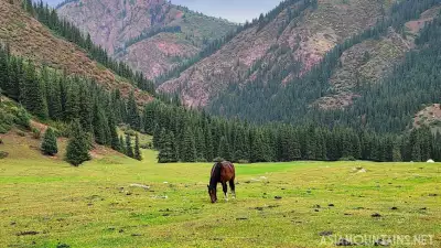 Тур в горах Киргизии – приключение c элементами верховой езды (12 дней)