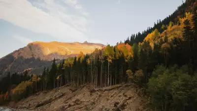 Джип-тур в живописный Домбай