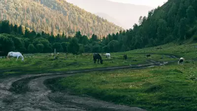 Природный парк "Уч Энмек" + Каракольская долина